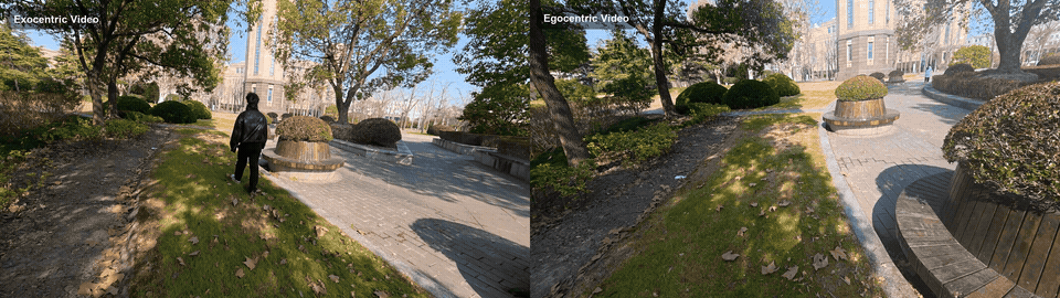Dataset sample 4